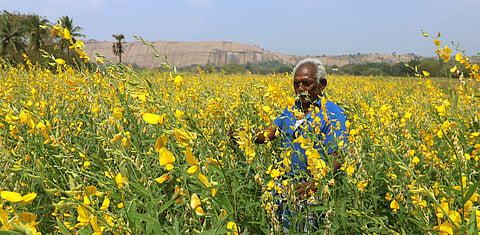 To reduce dependence on imports, the government will launch a Mission for Self-Sufficiency in Pulses and Oilseeds with a total outlay of Rs.203.64 crore.