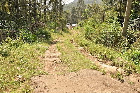 The path leading to Vathalmalai.