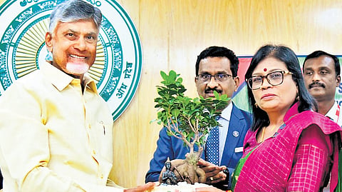 Chief Minister Nara Chandrababu Naidu during the State Level Bankers’ Committee meeting at the State Secretariat in Velagapudi on Monday