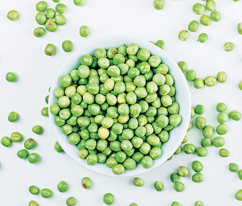 Till date, five containers with a total value of Rs 2 crore worth green peas imported from Dubai were seized at the Chennai port, sources said.