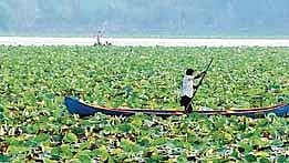 Vellayani Lake