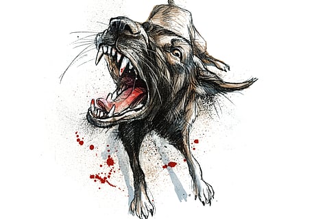 Rabies