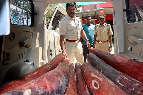 Forest officials on Wednesday arrested a man for smuggling around 826 kilos of red sandalwood from Kannanpalayam.