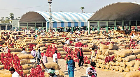 Huge quantity of red chilli for sale at Enumamula Agricultural Market on Tuesday