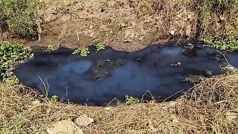The Bhavani River between Mettupalayam and Sirumugai in the Coimbatore district has turned black due to decreased water flow and high levels of sewage discharge.