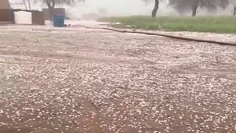 Besides, watermelon and onion crops on large tracts of farmlands were destroyed due to the hailstorm.