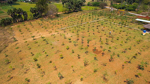 BTR government in Assam has allegedly achieved a rare milestone by recording 100% digitisation of land records