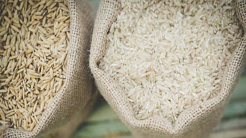 rice