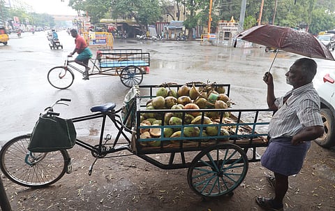 The unseasonal rainfall played spoilsport for a roadside tender coconut seller who placed a shop hoping for a sunny day sale.