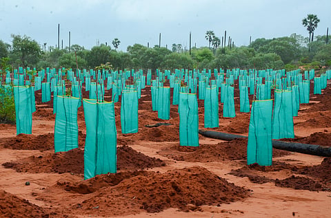 Image used for representational purpose.