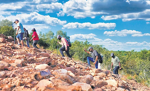 Trekking image used for representative purpose.