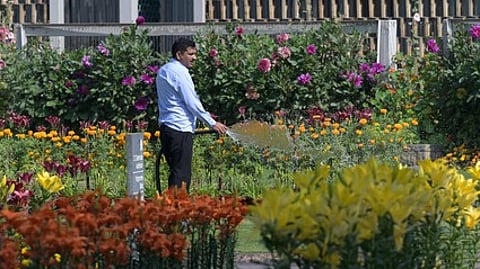By early March, as borewell water levels dipped in some BBMP parks, authorities deployed tractors to supply treated water for irrigation.