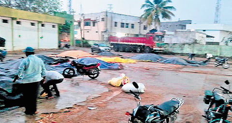 Men are seen covering grains in erstwhile Medak to avoid damage