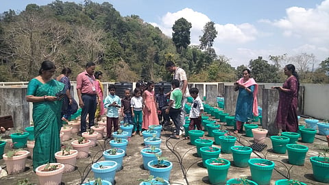 300 pots are being used for the cultivation of tomatoes, brinjal, okra, and green chilli on the rooftop at Government Tribal School, Attathodu.