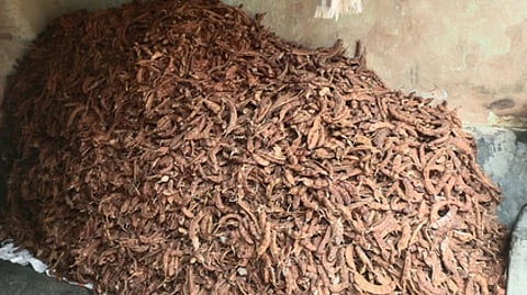 Tamarind heap.