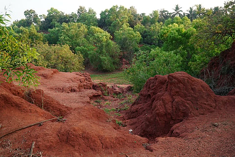 Canyons in the red sand area at Bhoomiyarpalayam, near Auroville, Villupuram district.
