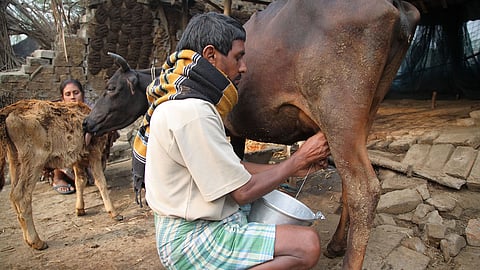 Image used for representational purpose.