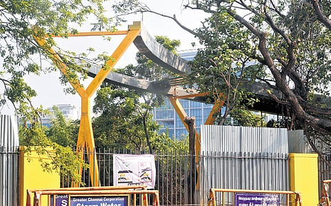 The skywalk is being constructed from the park’s first phase to the second, across Greenways Road