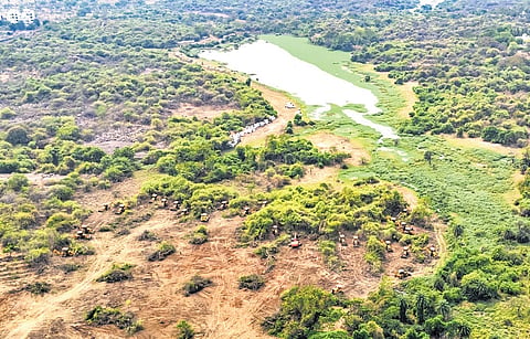 A photo taken on Monday shows earthmovers clearing the land at Kancha Gachabowli
