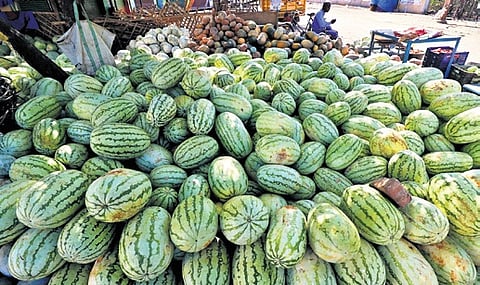 Last month, the wholesale rate was Rs 12/kg. After such videos went viral, the prices dropped to Rs 3-Rs 7/kg. On average, a watermelon weighs between 12-15 kg.