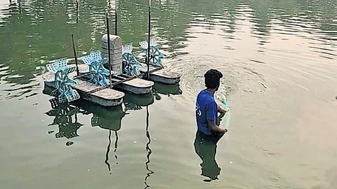 Representational image