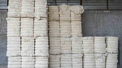 Image of cotton used for representational purposes only.