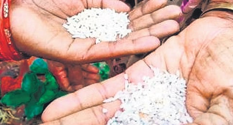 Prices have fallen sharply—fine rice that until recently was being sold at Rs 5,500 per quintal is now available for as low as Rs 4,000 per quintal.