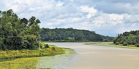 Balconies with rail shelter, selfie spots, yoga space, fishing points and gathering areas are also there to woo the tourists.
