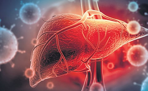 In 2024, the state recorded 7,943 Hepatitis A cases and 81 deaths, with multiple outbreaks.