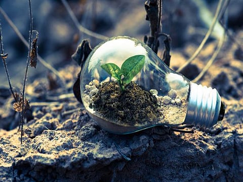 Green hydrogen presents transformative opportunity to decarbonise many of India's industry sectors