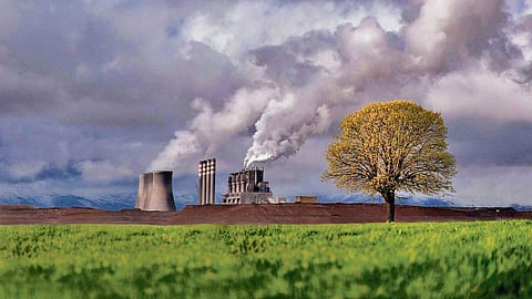 Ozone pollution
puts essential crops in peril, reveals new study