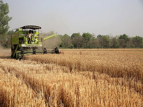 RoDTEP rates for agriculture, dairy, meat and marine products have been restored
