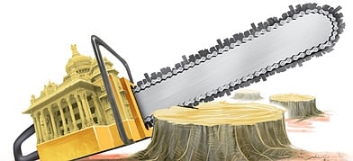 Image used for representational puposes only.