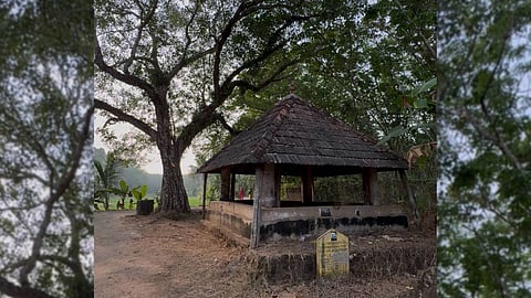 The decrepit Vazhi Ambalam at Kareepra in Kollam.