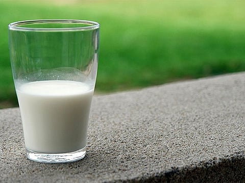 Amul, Mother Dairy hike milk prices by up to ₹2 per litre.