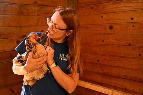 Rent the Chicken