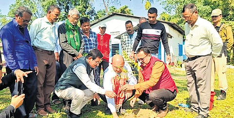 Over 13 years, he has planted two lakh trees and inspired others to join his fight against climate change, earning recognition as the brand ambassador for Assam's Department of Forest and Environment.