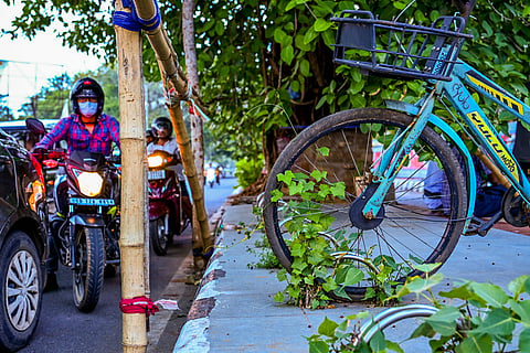File Photo | A climber plant grows along a cycle kept at Mo Cycle stand near Delta Square in Bhubaneswar