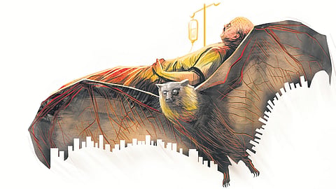 Preliminary tests suggest a possible Nipah virus infection, and samples have been sent to the National Institute of Virology (NIV) in Pune for confirmation.(Image used for representational purposes.)