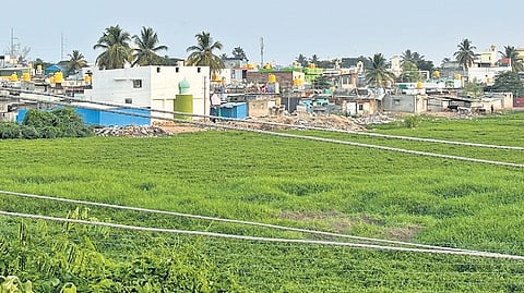 The encroached Shettahalli lake in Channapatna