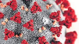Karnataka reports nearly 70,000 cases annually, with breast, cervical, oral, lung, and colorectal cancers being the most common