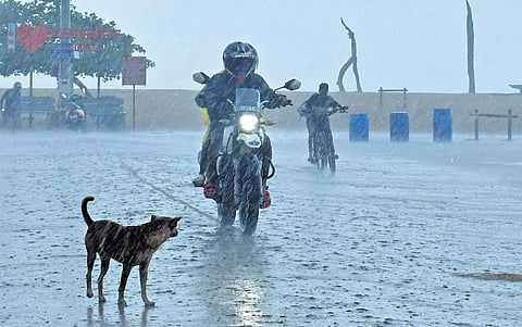 People try to escape the rain that lashed Vypeen in Kochi on Friday. The IMD has issued red alert for various northern districts and orange alert for several central Kerala districts, including Ernakulam, till Sunday