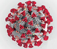 Delhi hospitals report rise in patients with flu-like symptoms