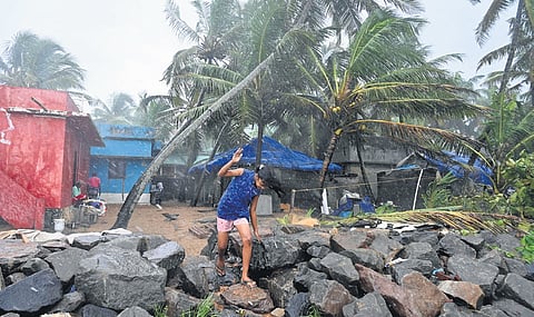 A girl walks amid rain as coconut trees sway in high wind in the background near Veli coast in Thiruvananthapuram on Thursday