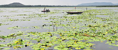 A view of the Kondakarla Ava lake in Anakapalle district.