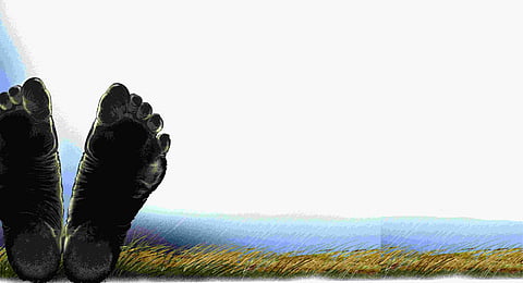 Image used for representation purposes only.