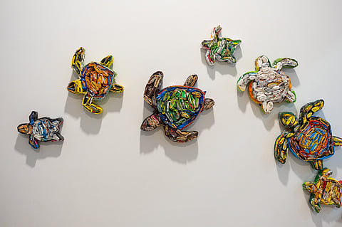 Manveer Singh, aka Plasticvalla's ‘Turtle Trail’