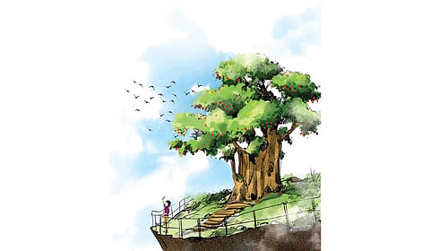 The scheme, aimed at expanding tree cover beyond traditional forest areas in the state, will provide financial assistance to farmers to plant trees on their land.