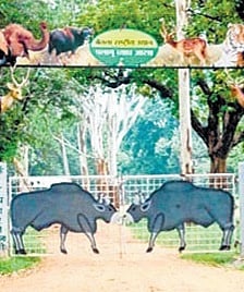 In a 1st, Japan technique to help boost
forest cover outside Palamu reserve