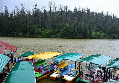 Representative image